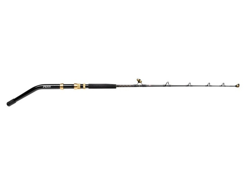 canne-penn-squall-ii-trolling-rod-4-1558908.jpg canne-penn-squall-ii-trolling-rod-4-1558908.jpg