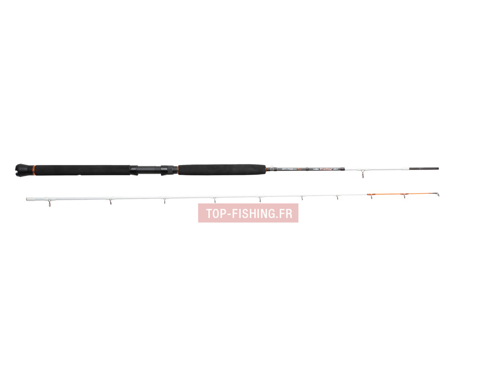 canne-savagear-trolling2-rods-1.jpg canne-savagear-trolling2-rods-1.jpg