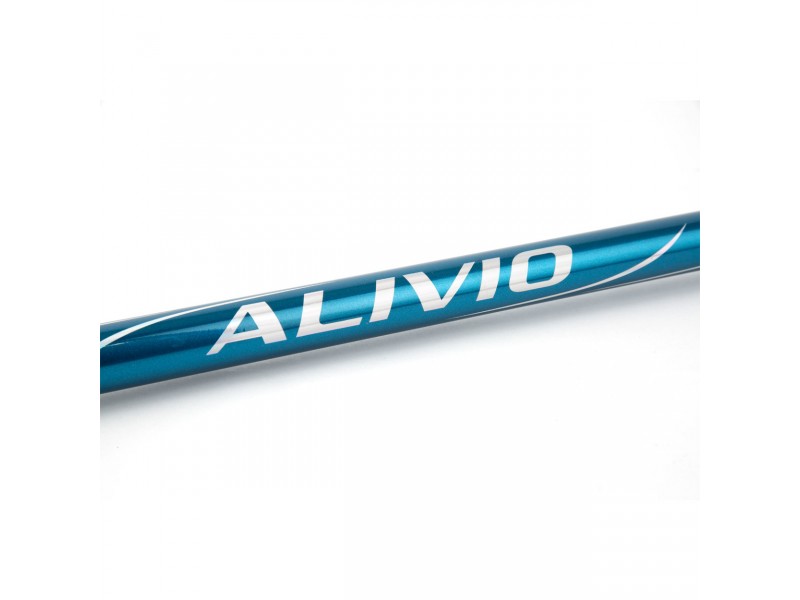 canne-shimano-alivio-fx-surf-tele-surf-2.jpg