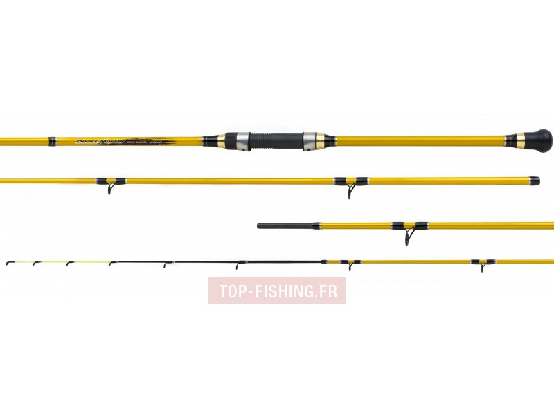 canne-shimano-beastmaster-boat-quiver-2.jpg