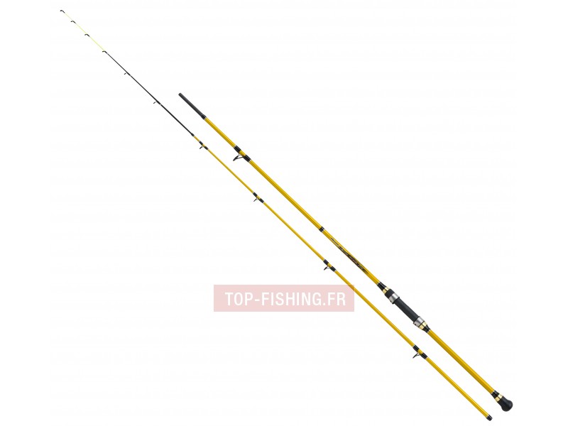 canne-shimano-beastmaster-boat-quiver.jpg
