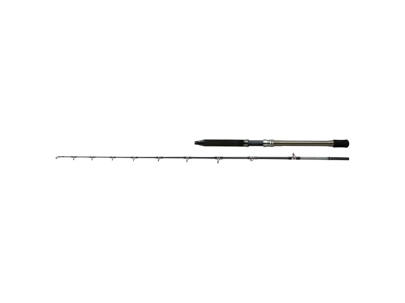 canne-shimano-speedmaster-ax-deep-drop.jpg