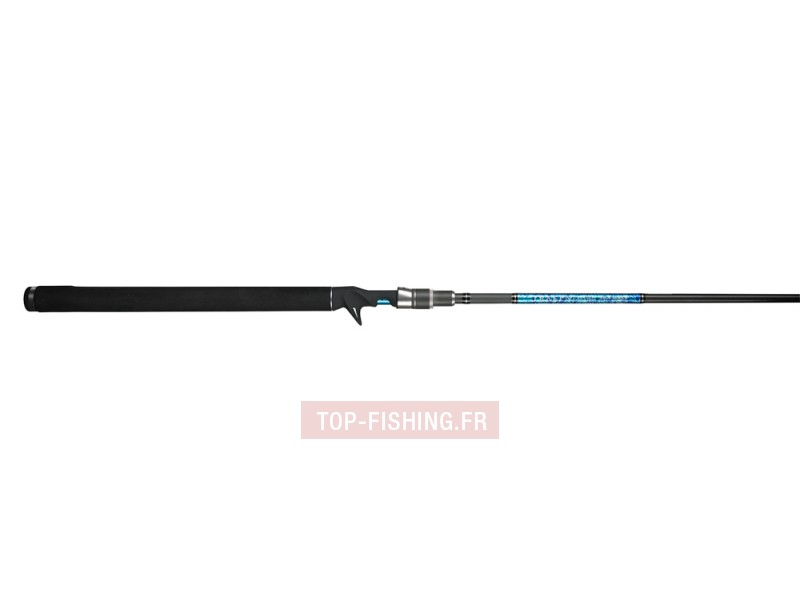canne-smith-dragonbait-seabass-casting.jpg