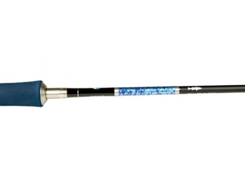canne-smith-dragonbait-seabass-lx-2.jpg