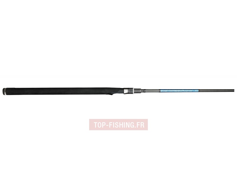 canne-smith-dragonbait-seabass-spinning.jpg