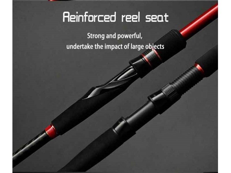 canne-top-sea-aggress-sea-bass-rod-type-3.jpg