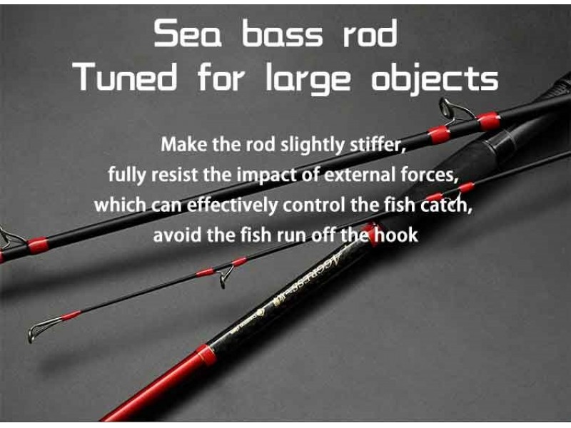 canne-top-sea-aggress-sea-bass-rod-type-4.jpg