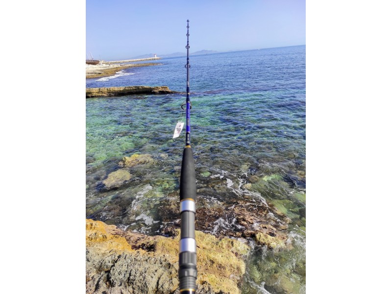 canne-top-sea-amazing-heavy-jigging-2.jpg