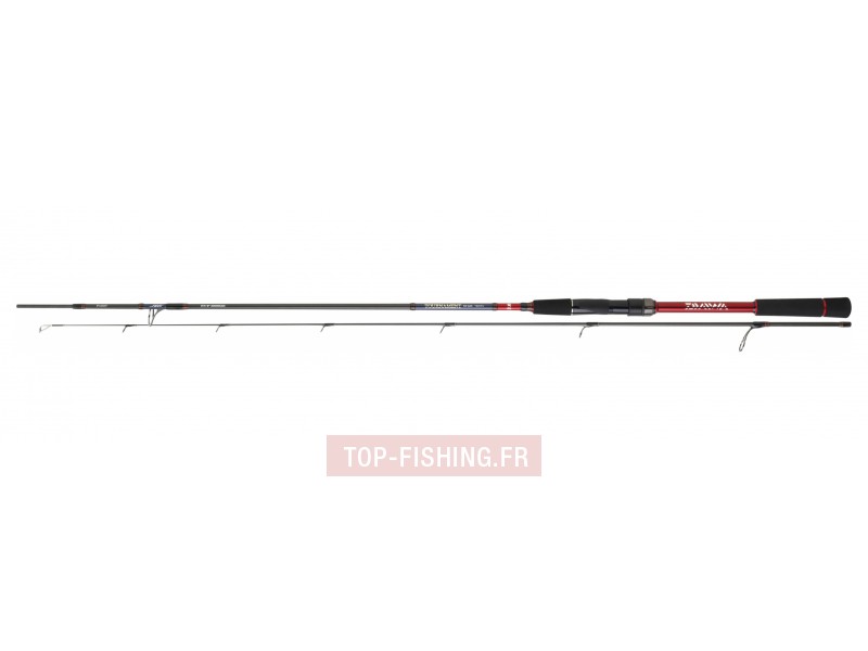 canne-tournament-sw-ags-702-hfs.jpg canne-tournament-sw-ags-702-hfs.jpg