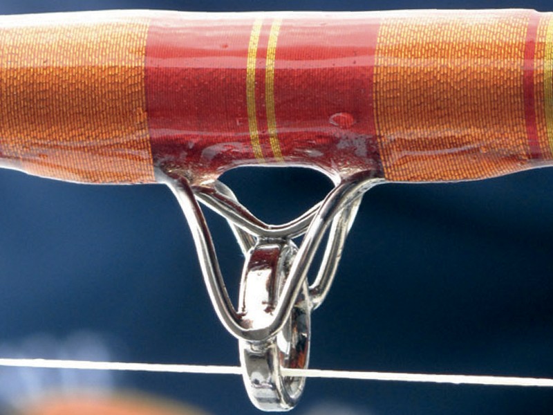 canne-wft-68-north-anneau-ltc-detail.jpg canne-wft-68-north-anneau-ltc-detail.jpg