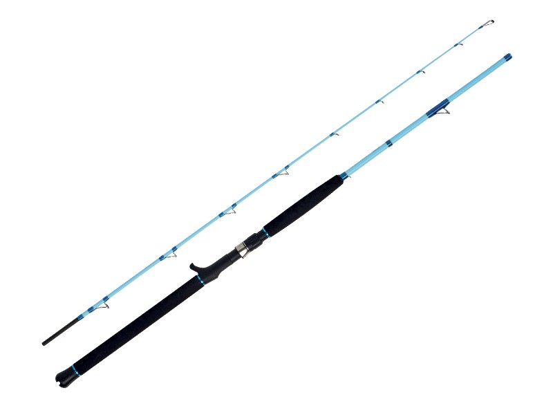 canne-wft-sea-dart-12lbs-bleu-ciel.jpg canne-wft-sea-dart-12lbs-bleu-ciel.jpg