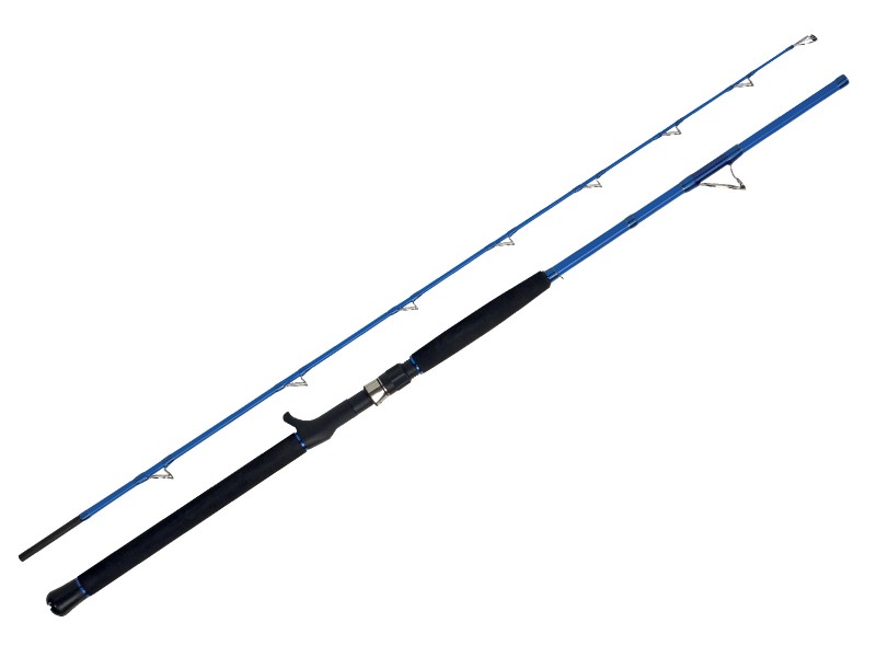 canne-wft-sea-dart-30lbs-bleu.jpg canne-wft-sea-dart-30lbs-bleu.jpg