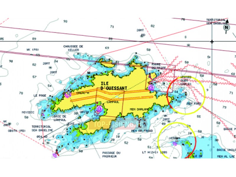 cartographie-navionics-gold-small-2-2.jpg