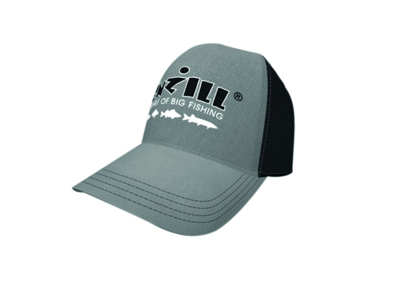 Casquette WFT Penzill-gris
