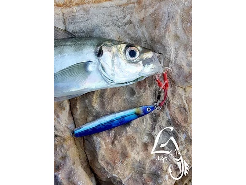 casting-jig-top-fishing-kira-55g-9.jpg
