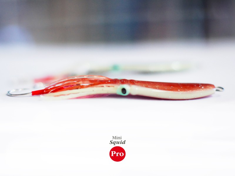 casting-jig-top-sea-mini-squid-pro-ambiance.jpg casting-jig-top-sea-mini-squid-pro-ambiance.jpg
