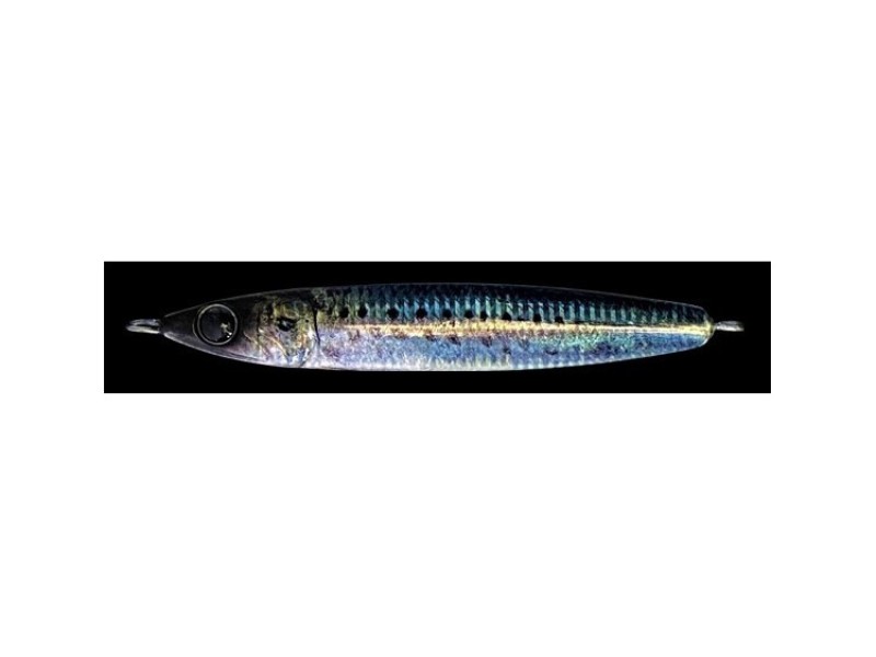 casting-jig-zeake-r-sardine-30g-2-081.jpg