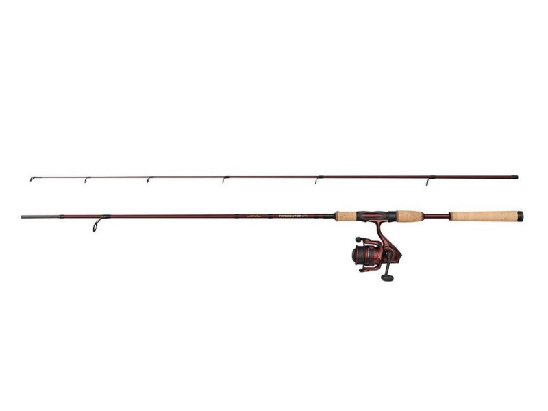Ensemble Abu Garcia Tormentor2 Spinning Combo