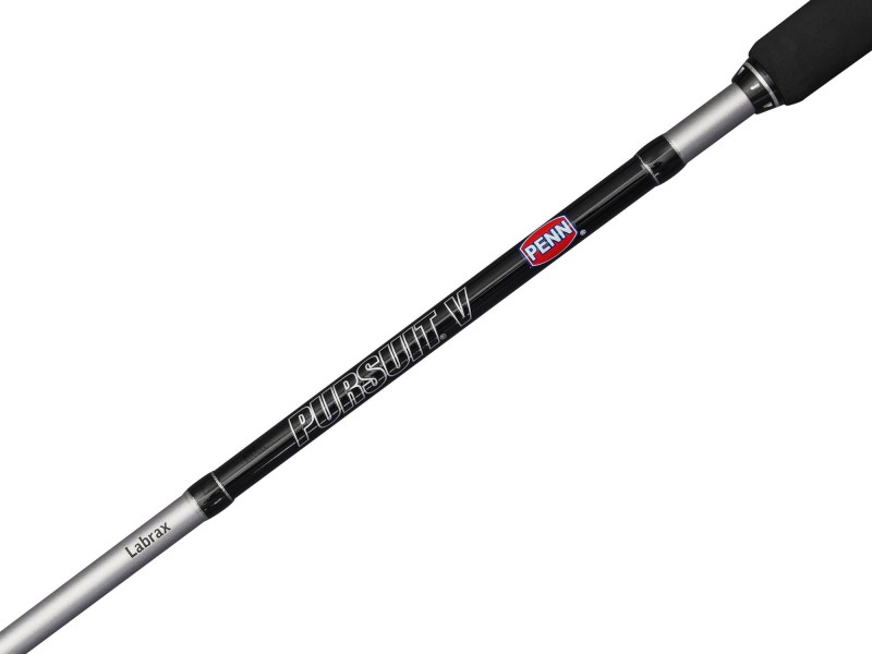 Ensemble Penn Pursuit V Labrax Combo Ensemble Penn Pursuit V Labrax Combo