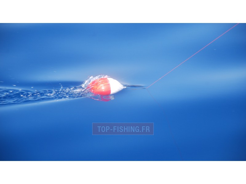 flotteur-rapide-top-sea-release-tuna-plug-2.jpg flotteur-rapide-top-sea-release-tuna-plug-2.jpg