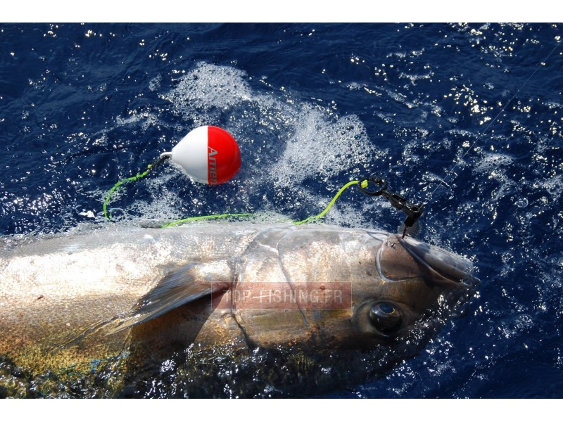 flotteur-rapide-top-sea-release-tuna-plug-3.jpg flotteur-rapide-top-sea-release-tuna-plug-3.jpg