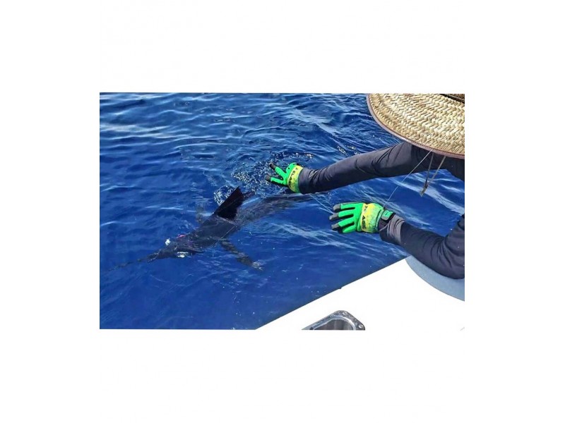 gant-pelagic-end-game-pro-gloves-dorado-vert-3.jpg