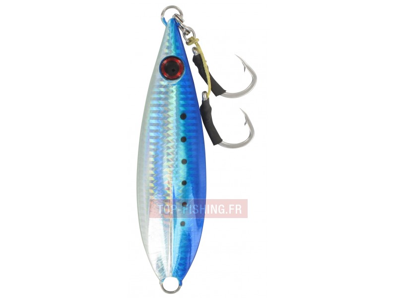 jig-owase-couleur-iwashi.jpg jig-owase-couleur-iwashi.jpg
