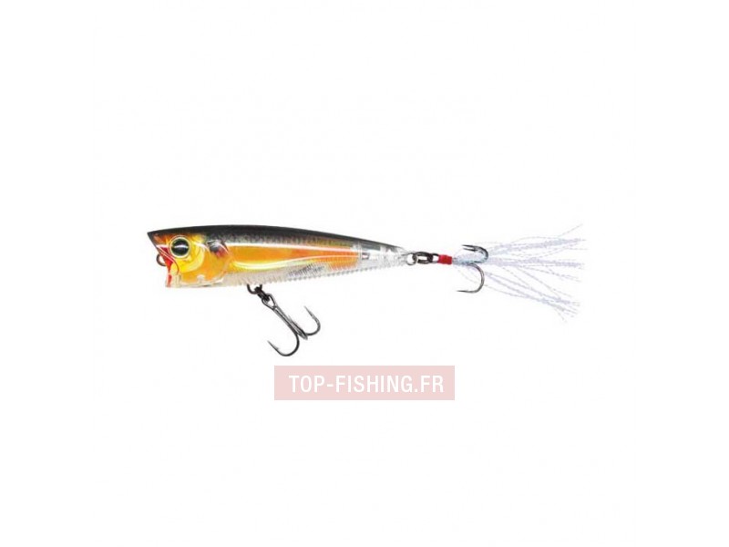 leurre-3dr-popper-65mm-golden-shiner-rgsn-.jpg leurre-3dr-popper-65mm-golden-shiner-rgsn-.jpg