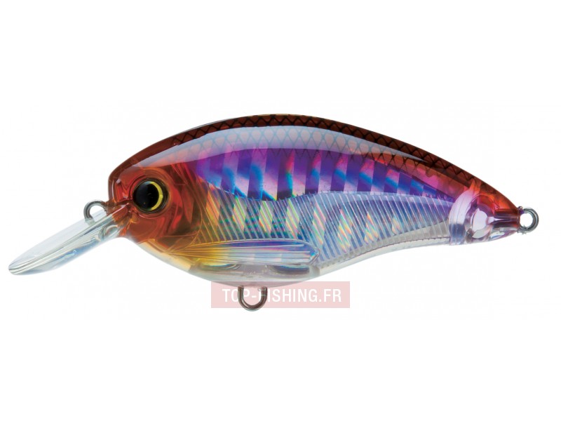 leurre-3ds-crank-sr-couleur-holographic-smelt-hhws-.jpg leurre-3ds-crank-sr-couleur-holographic-smelt-hhws-.jpg