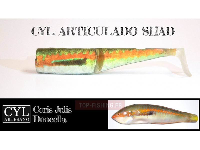 leurre-articulado-shad-170mm-girelle.jpg leurre-articulado-shad-170mm-girelle.jpg