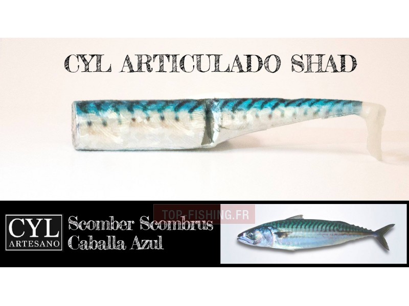 leurre-articulado-shad-170mm-maquereau-bleu.jpg leurre-articulado-shad-170mm-maquereau-bleu.jpg