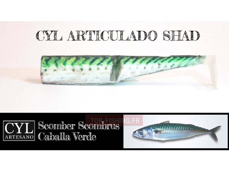 leurre-articulado-shad-170mm-maquereau-vert.jpg leurre-articulado-shad-170mm-maquereau-vert.jpg