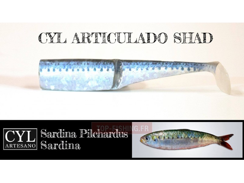 leurre-articulado-shad-170mm-sardine.jpg leurre-articulado-shad-170mm-sardine.jpg