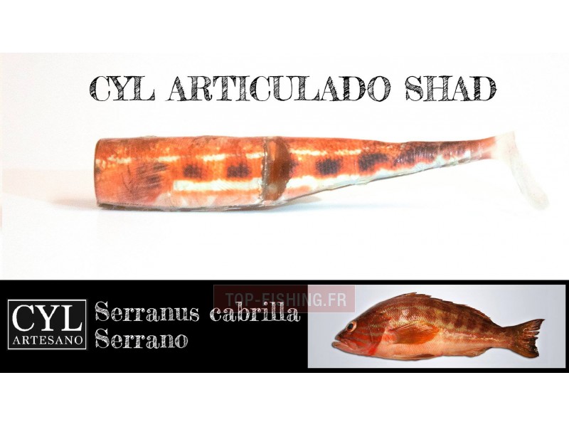 leurre-articulado-shad-170mm-serran.jpg leurre-articulado-shad-170mm-serran.jpg