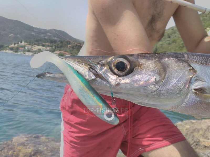 leurre-bertox-sea-bass-candy-9cm-par-3-2.jpg leurre-bertox-sea-bass-candy-9cm-par-3-2.jpg