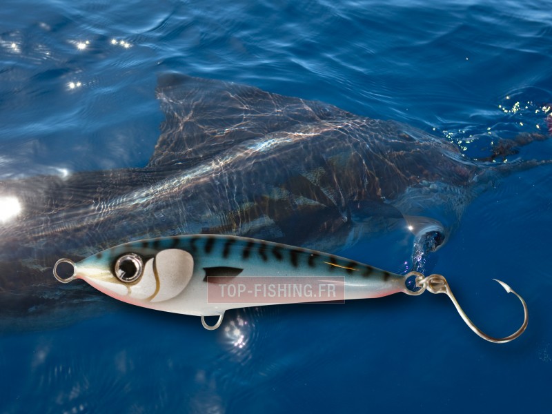 leurre-bertox-tuna-10-cm-30gr-madagascar.jpg leurre-bertox-tuna-10-cm-30gr-madagascar.jpg