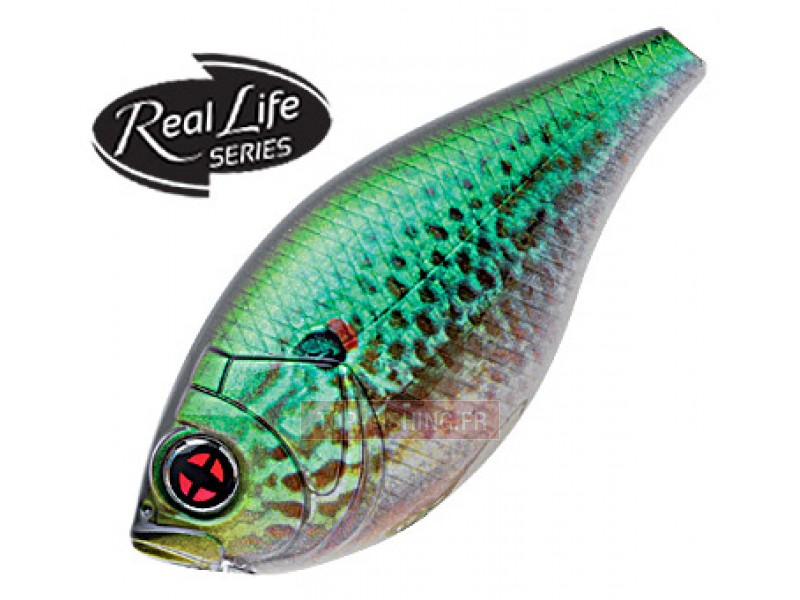 leurre-bomba-crank-f-couleur-real-life-sunfish-rl10-.jpg leurre-bomba-crank-f-couleur-real-life-sunfish-rl10-.jpg