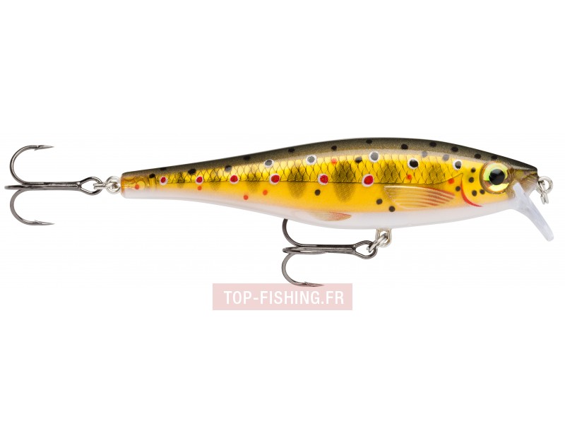 leurre-bx-minnow-couleur-tr.jpg leurre-bx-minnow-couleur-tr.jpg
