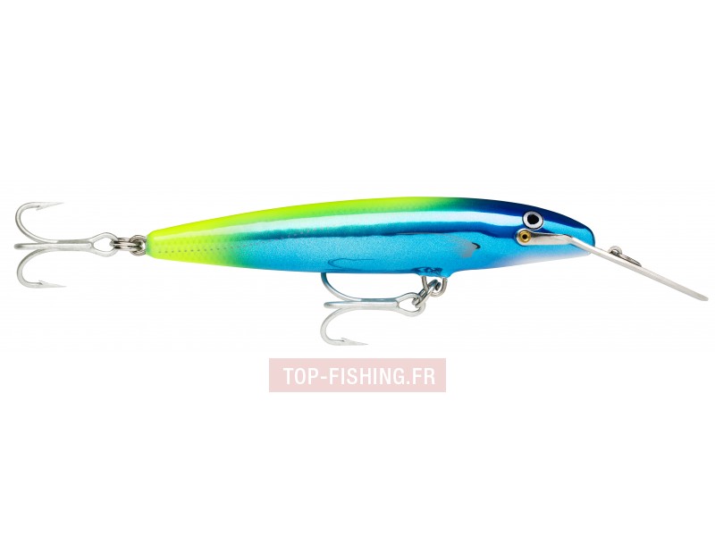 leurre-countdown-magnum-couleur-yfu.jpg leurre-countdown-magnum-couleur-yfu.jpg