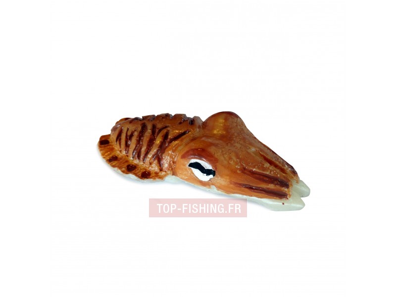 leurre-cyl-artesano-chococyl-seiche-100m-packshot.jpg