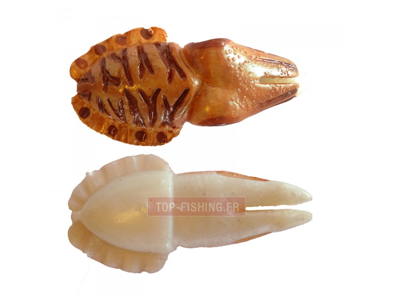 leurre-cyl-artesano-chococyl-seiche-100mm-vue-dessus-dessous.jpg
