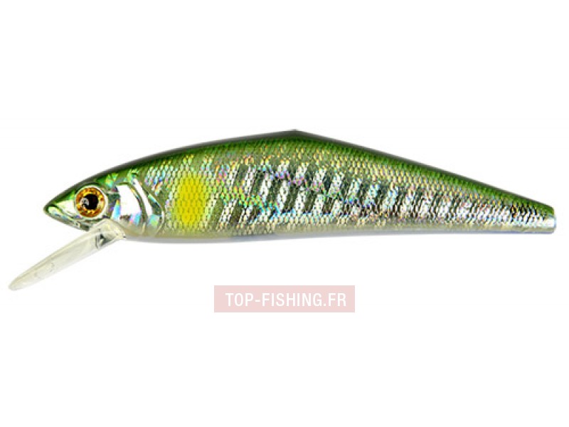 leurre-d-contact-saltwater-85-couleur-94.jpg leurre-d-contact-saltwater-85-couleur-94.jpg