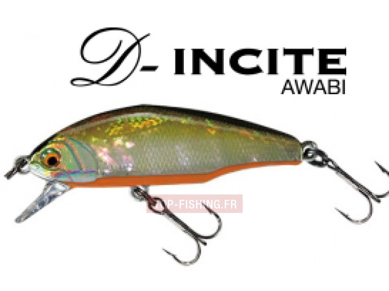 leurre-d-incite-awabi-couleur-02.jpg leurre-d-incite-awabi-couleur-02.jpg