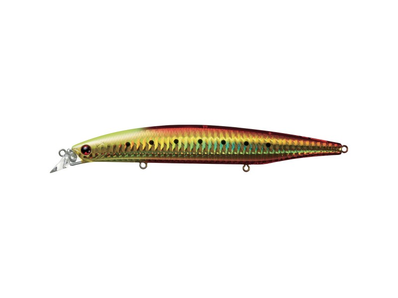 leurre-daiwa-shoreline-shiner-z-vertice-burning-gold-iwashi.jpg