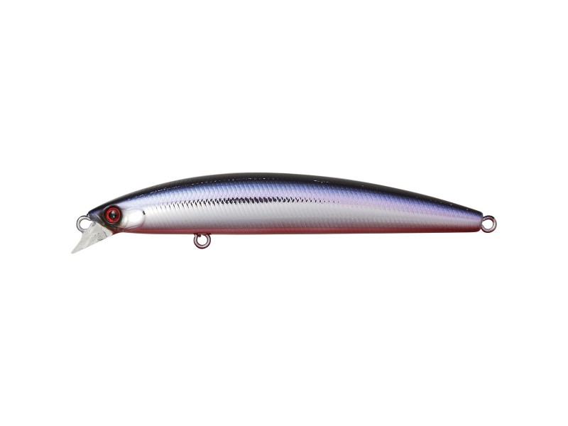 leurre-daiwa-shoreline-shiner-z-vertice-katakushi-rb.jpg