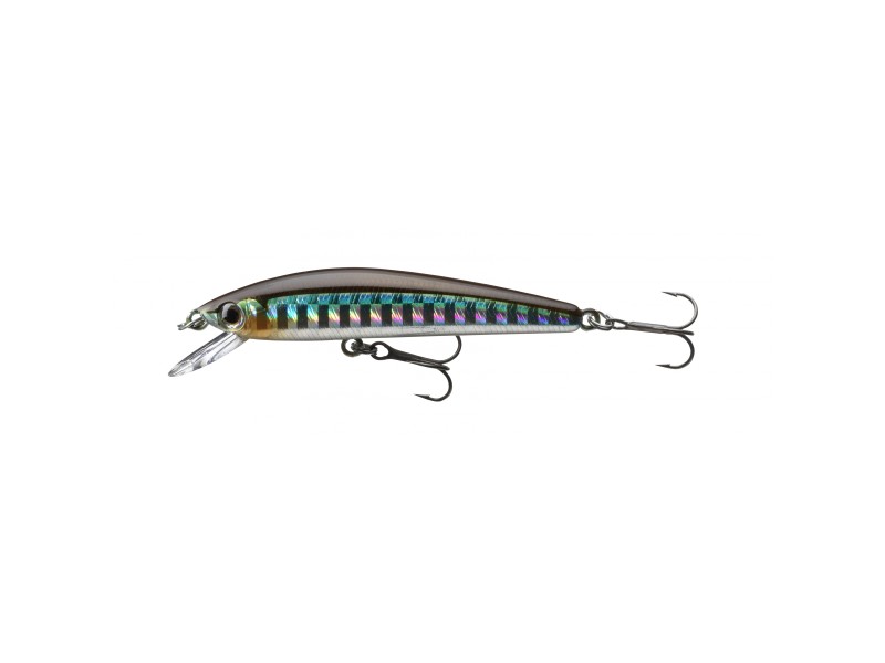 leurre-daiwa-tournament-baby-minnow-suspending-60mm-6-16710507.jpg leurre-daiwa-tournament-baby-minnow-suspending-60mm-6-16710507.jpg