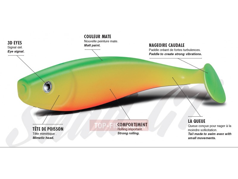 leurre-delalande-shad-gt-2.jpg leurre-delalande-shad-gt-2.jpg