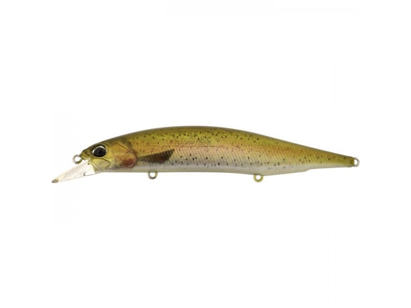 leurre-duo-realis-jerkbait-120-spk-ccc3836.jpg