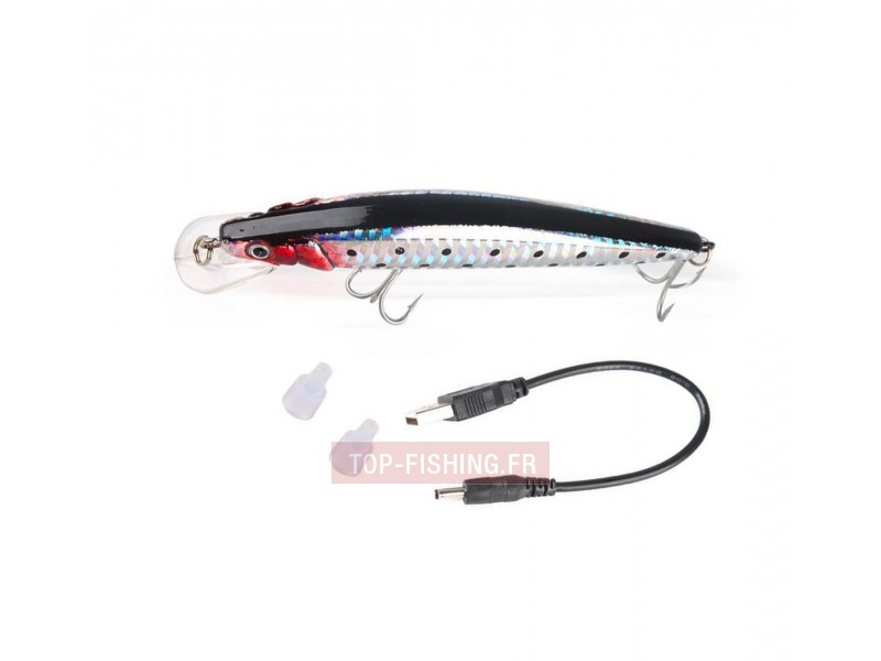 leurre-electrique-twitching-lure-executioner-usb.jpg leurre-electrique-twitching-lure-executioner-usb.jpg