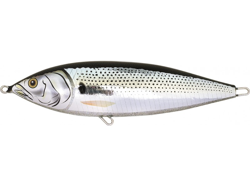 leurre-fish-tornado-real-bonito-dotted-gizard-shad.jpg leurre-fish-tornado-real-bonito-dotted-gizard-shad.jpg